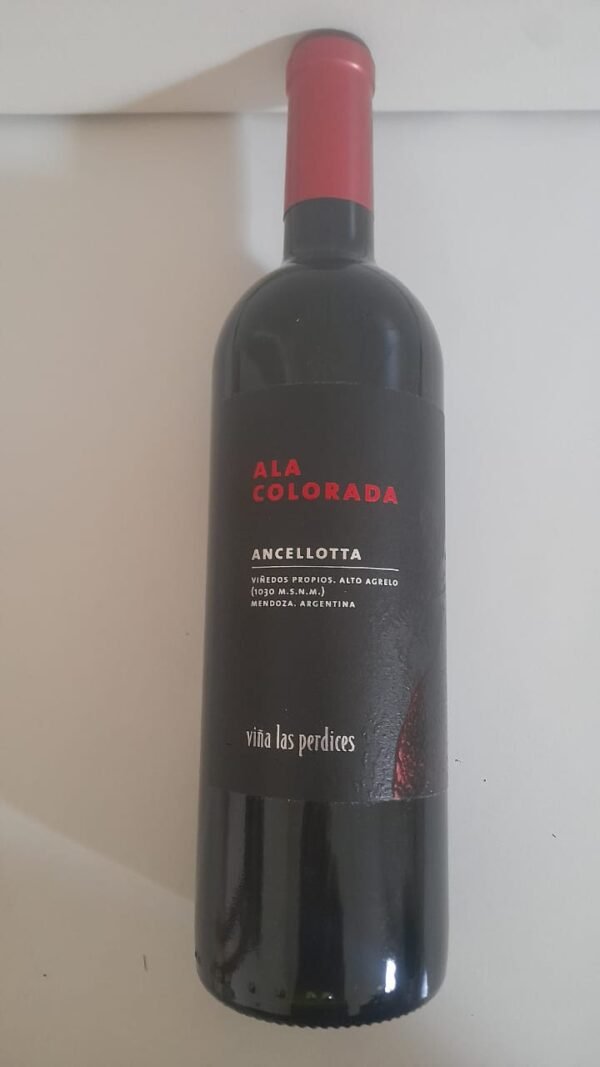 ALA COLORADA ANCELLOTA 2021